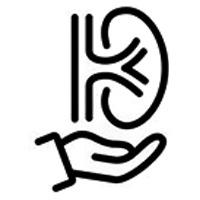 Kidney Transplant