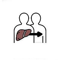 Liver Transplant in India